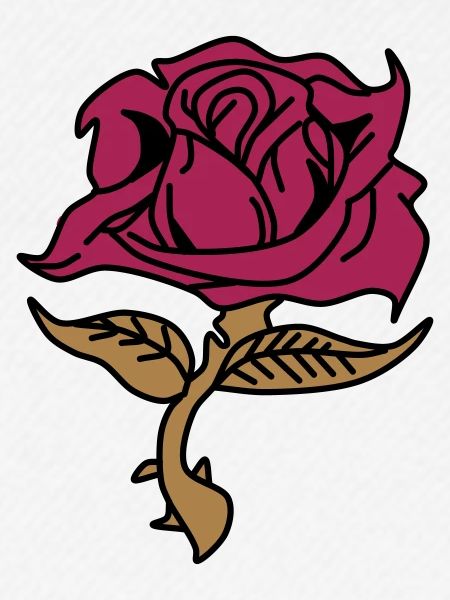 Rose (fleur)