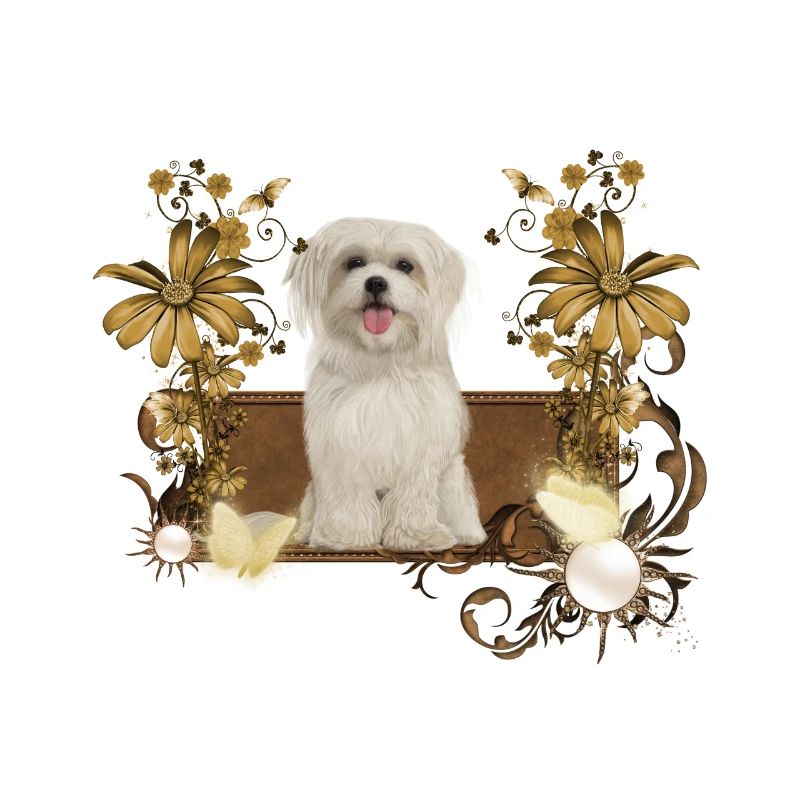 Chiot maltais mignon avec des fleurs