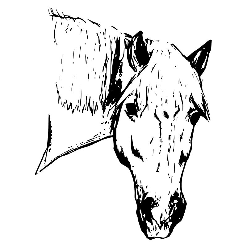 Haflinger Hafi Alpenquarter
