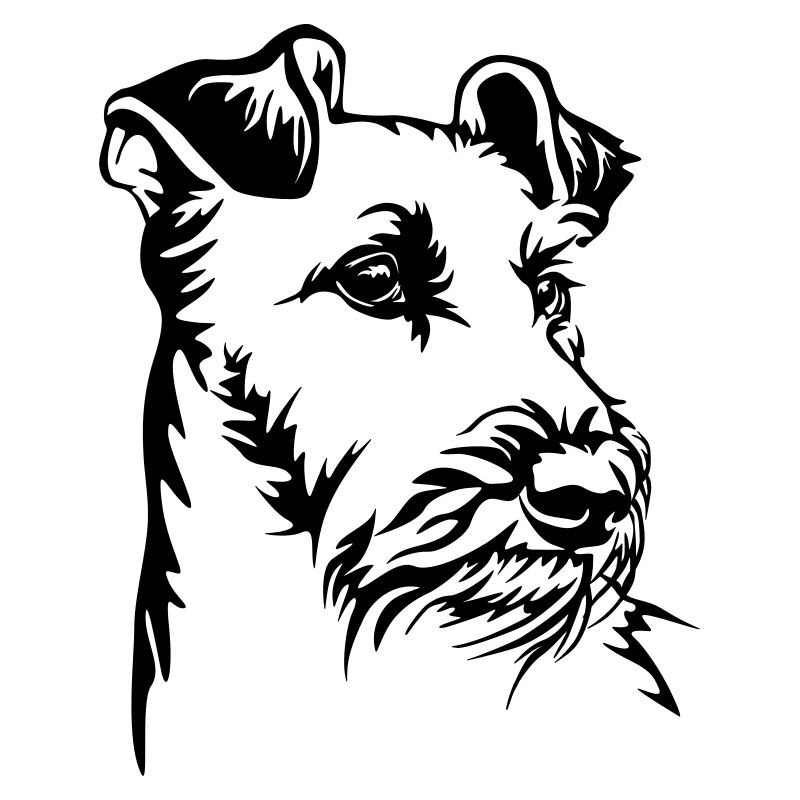 Irish Terrier Kopf