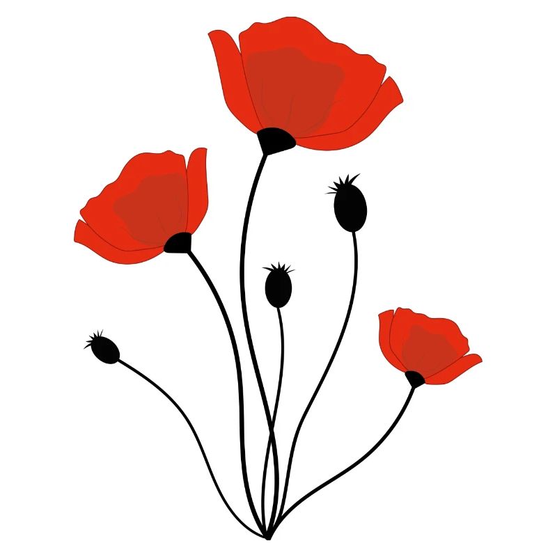 Mohnblume