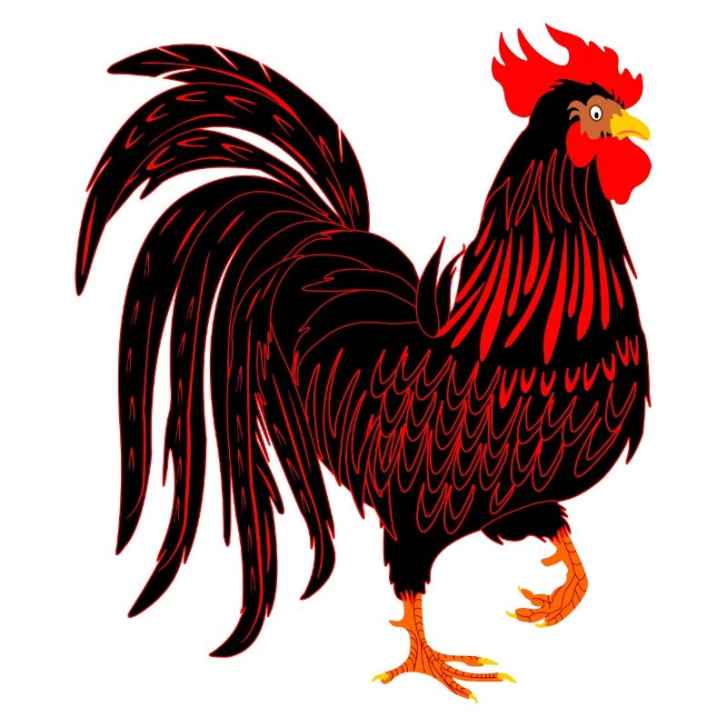 Schwarzer Hahn Coq
