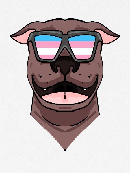 American Dog