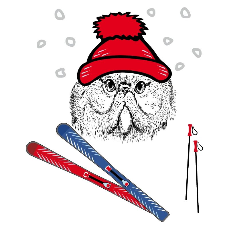 Skispringer, Wintersport