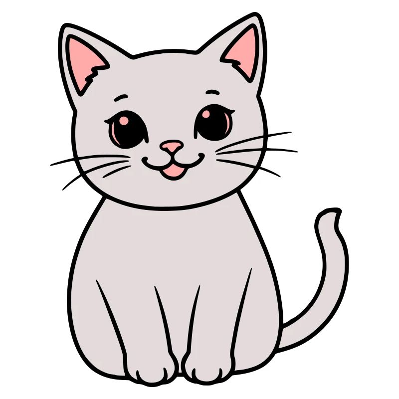 chaton gris