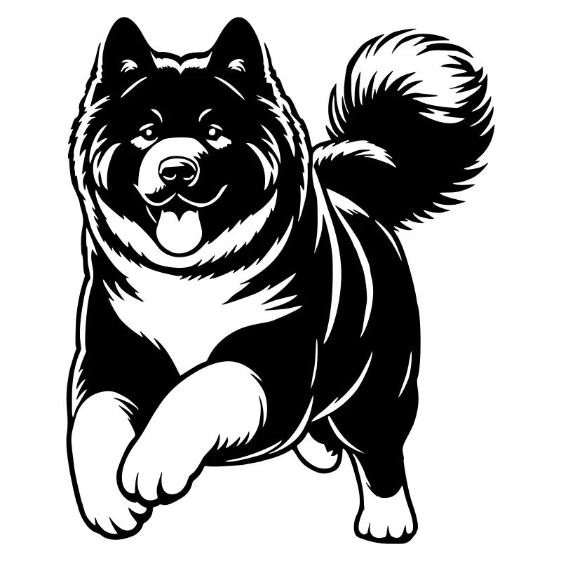American Akita