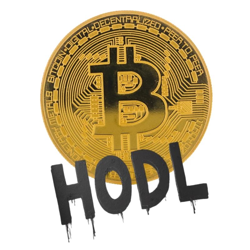 Hodl Bitcoin