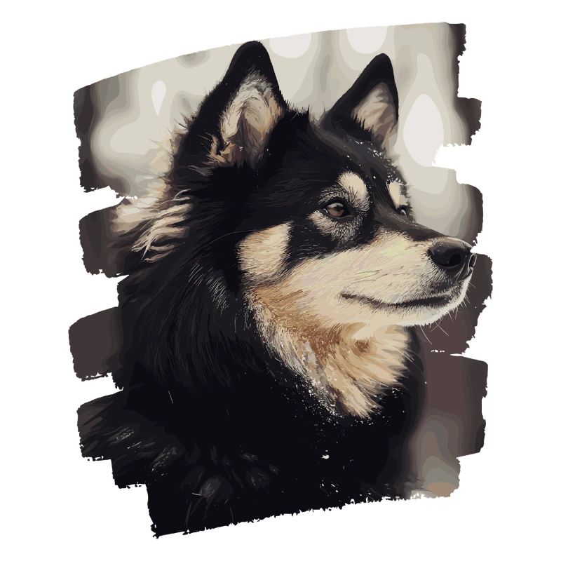 Finnischer Lapphund
