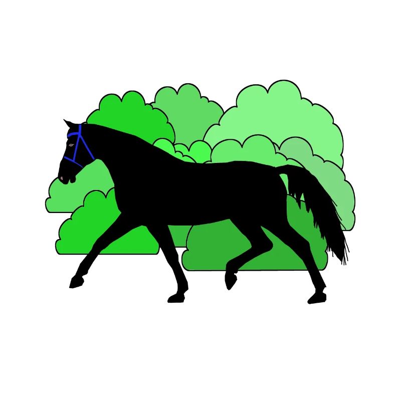 Pferd Pferde Rappe