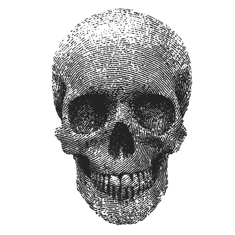 Fingerprint Skull