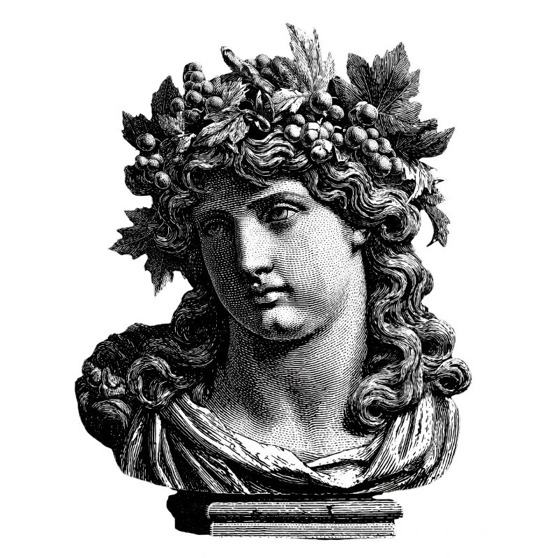 Antike Büste des Bacchus – Klassische Gravur
