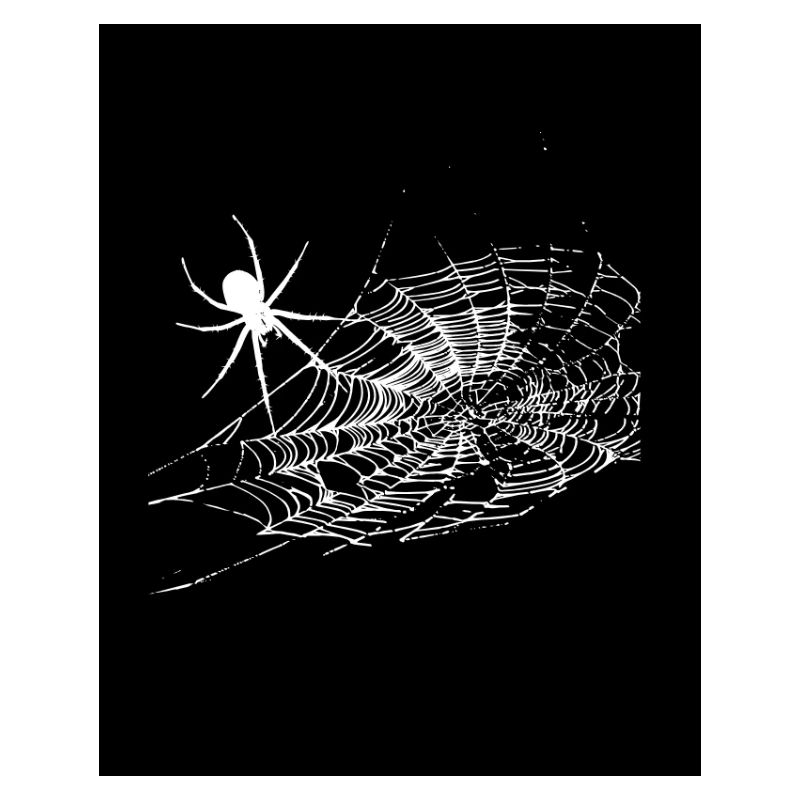 araignée