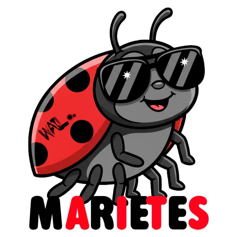 Ladybug with sunglasses