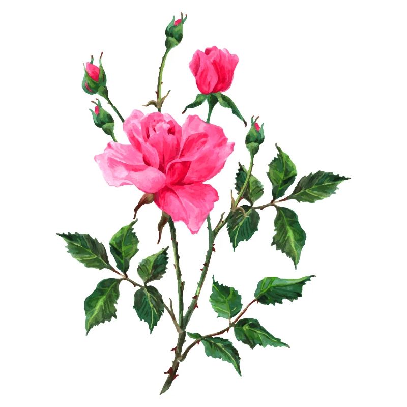 Blumen