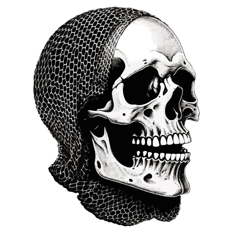 Crâne dans une écharpe en filet