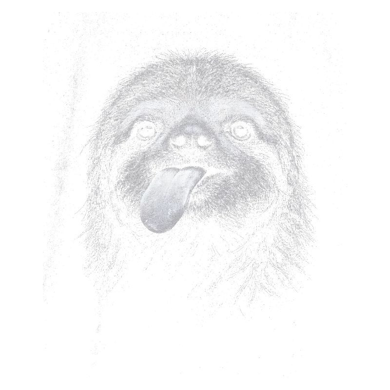 Smiling sloth in night contrast
