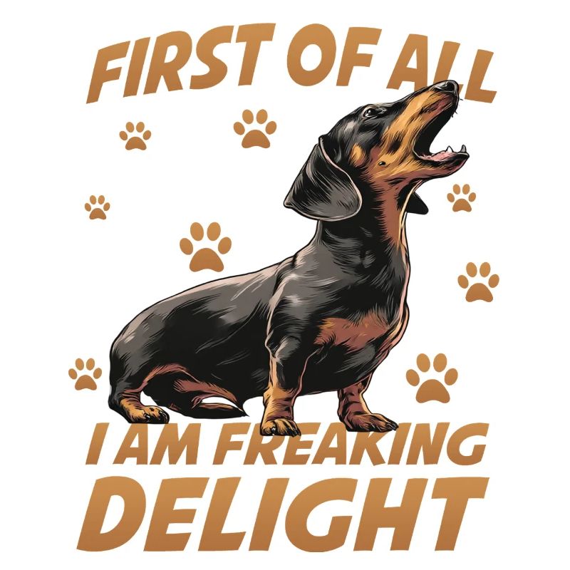  Wursthund Dackel Kurzhaardackel Dachshund Teckle
