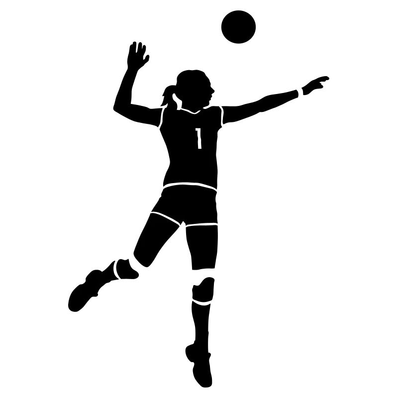 volleyball