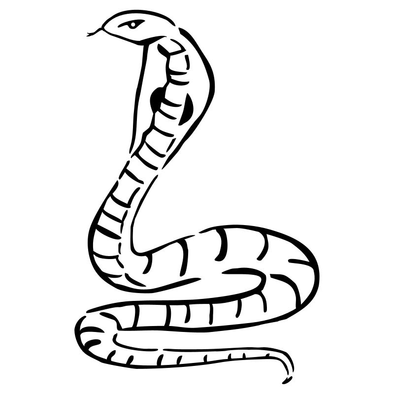 serpent