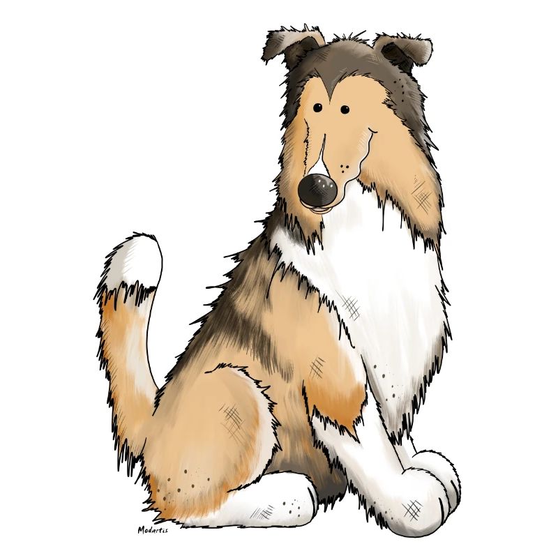 Collie Cleo
