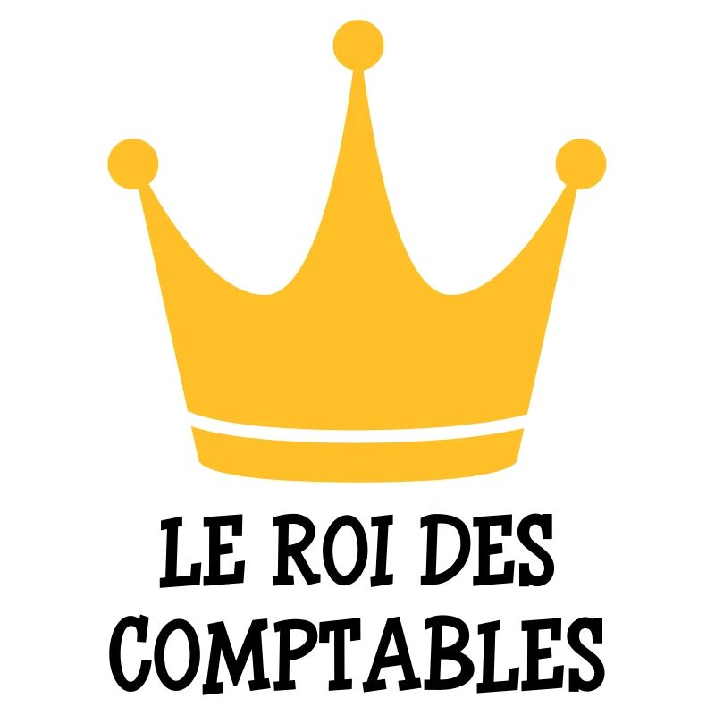 comptable / comptabilité / argent / Finance / Euro
