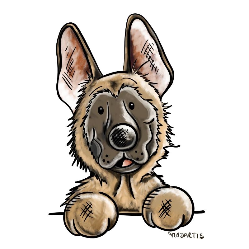 Neugieriger Malinois