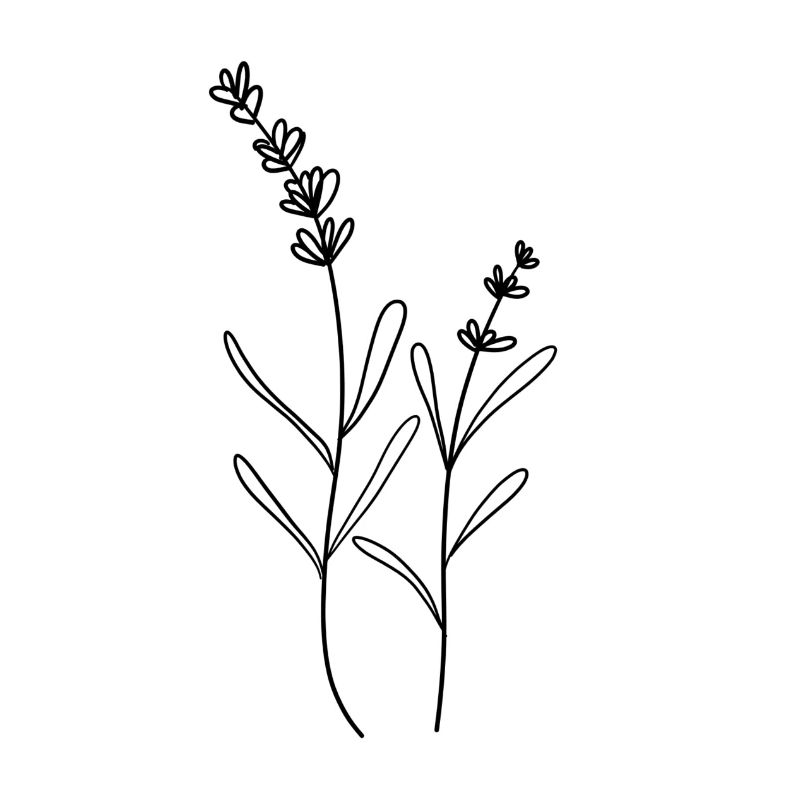 Floral Lavendel