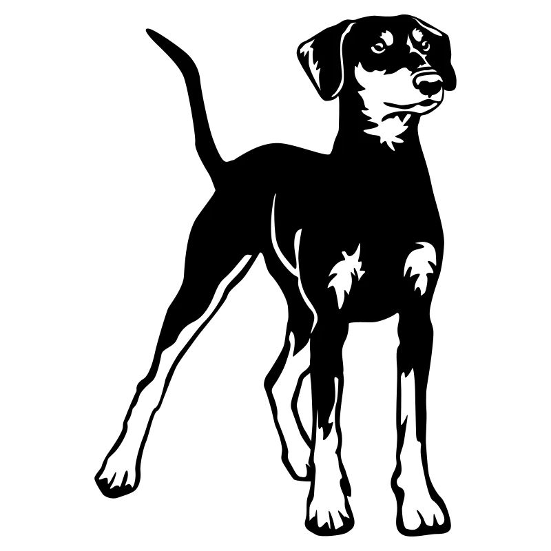 German Pinscher