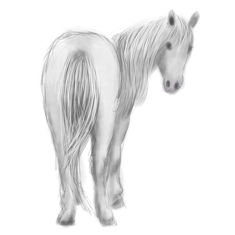 Pferd