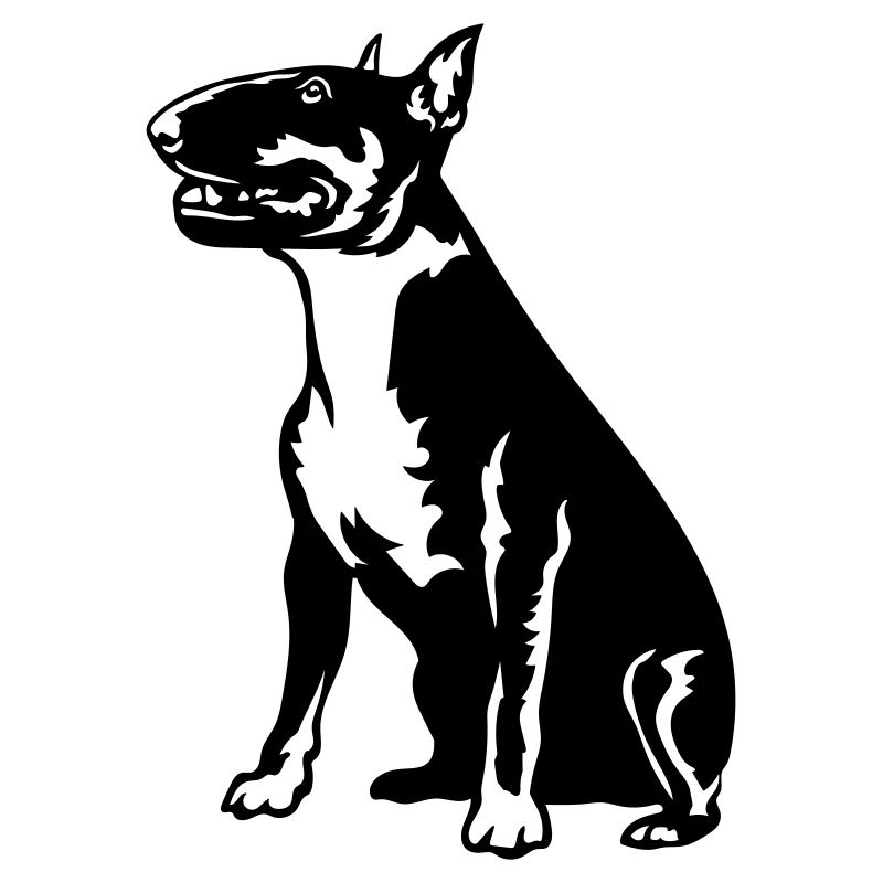 Bullterrier