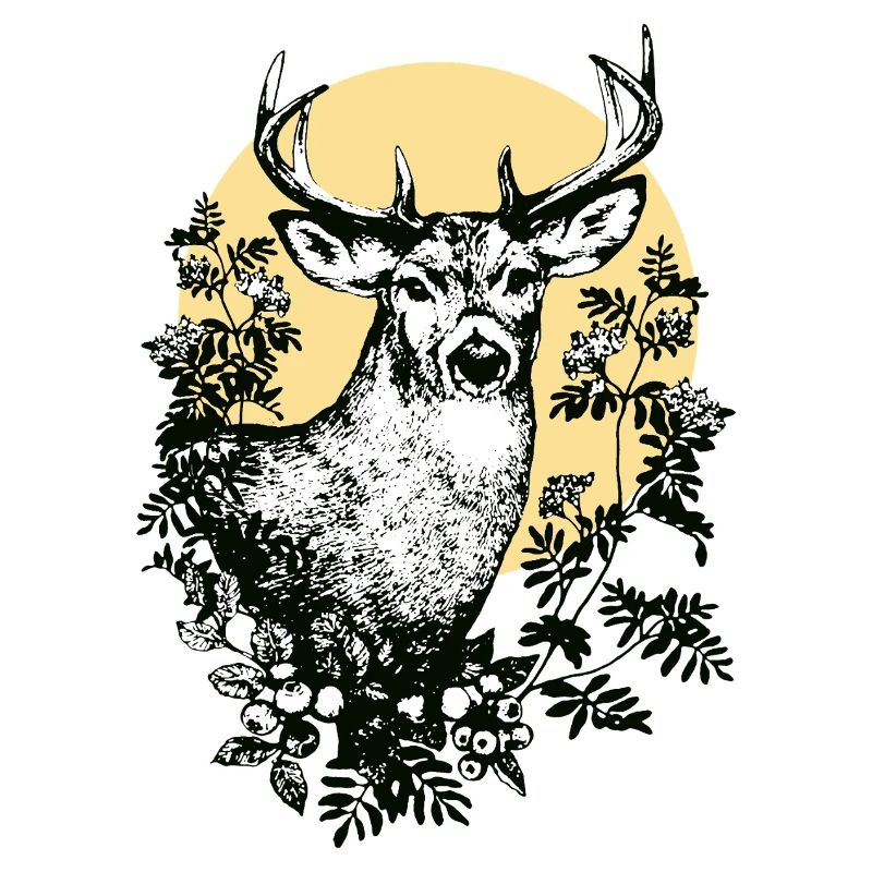 Hirsch