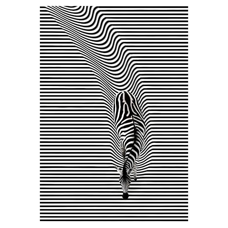 Zebra Optical Illusion