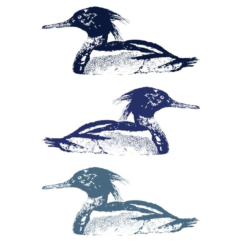 MERGUS