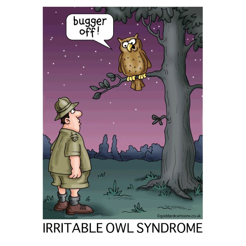 Irritable Owl Syndrome