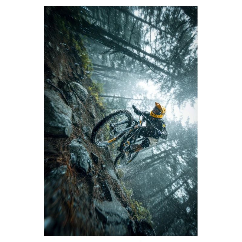 Winter Forest Quad Quest