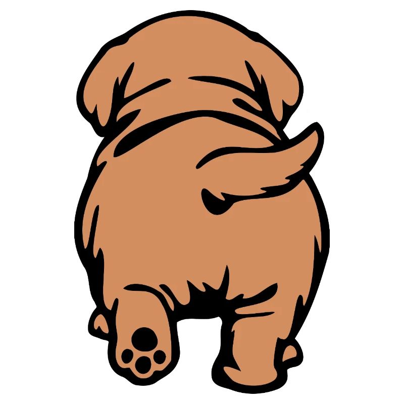 Hunde Rücken