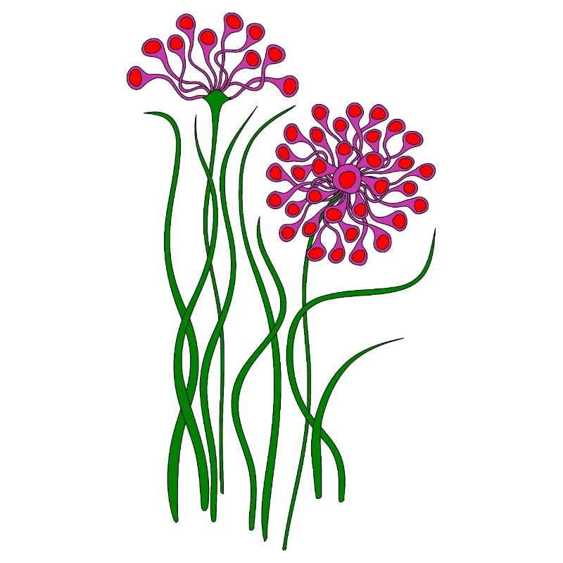 Blumen
