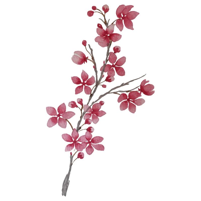 Cherry Branch
