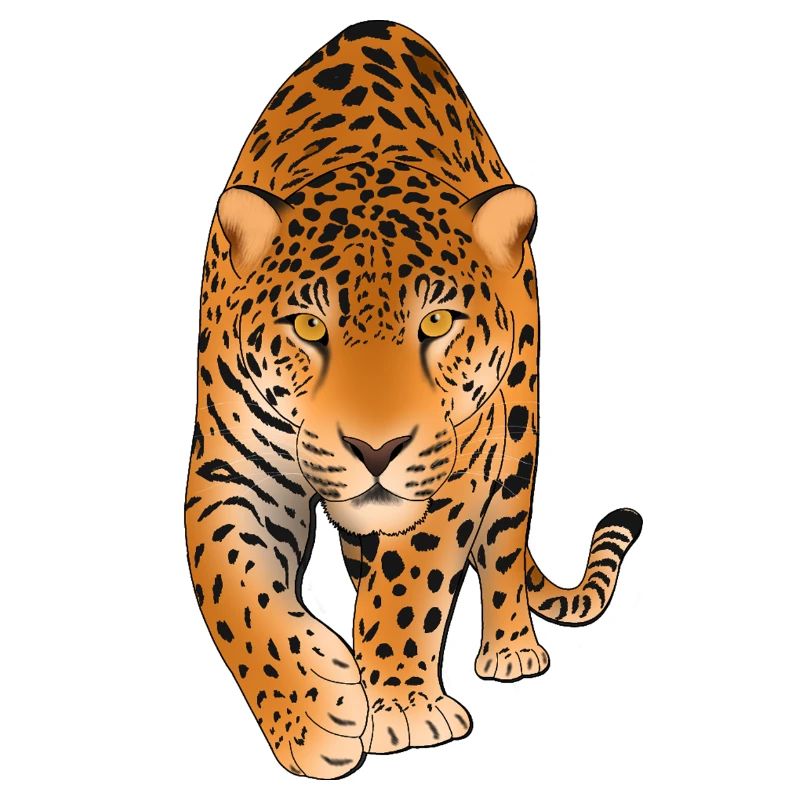 Leopard Raubkatze