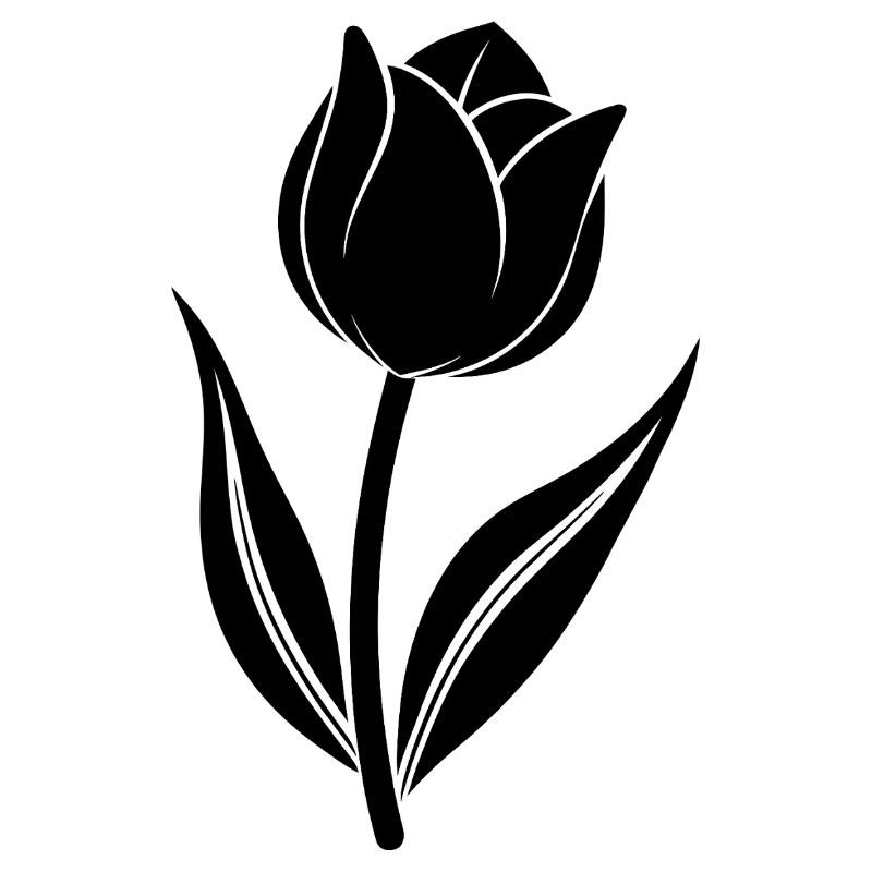 Tulip