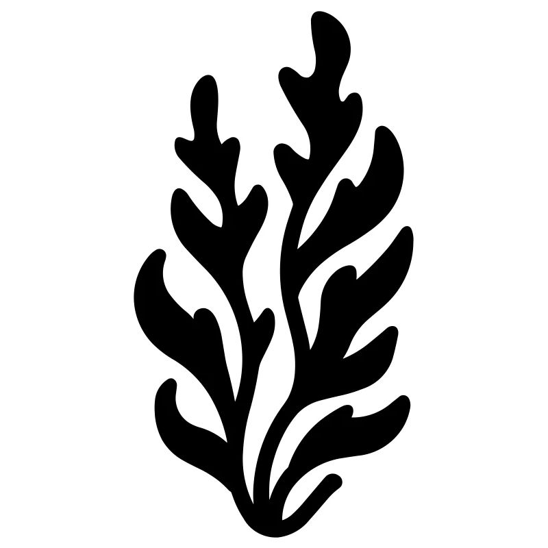alga