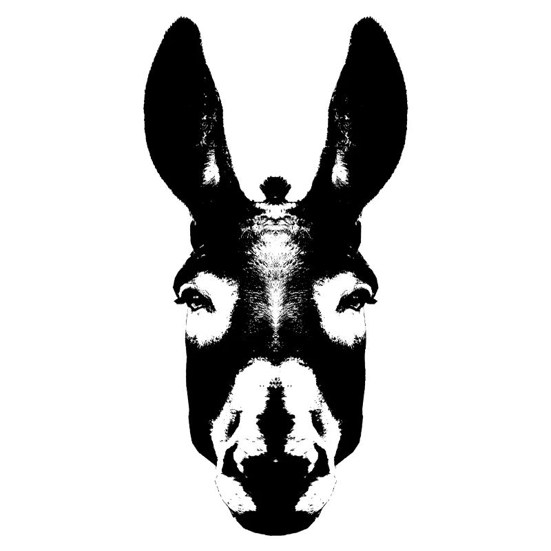 Donkey / Head