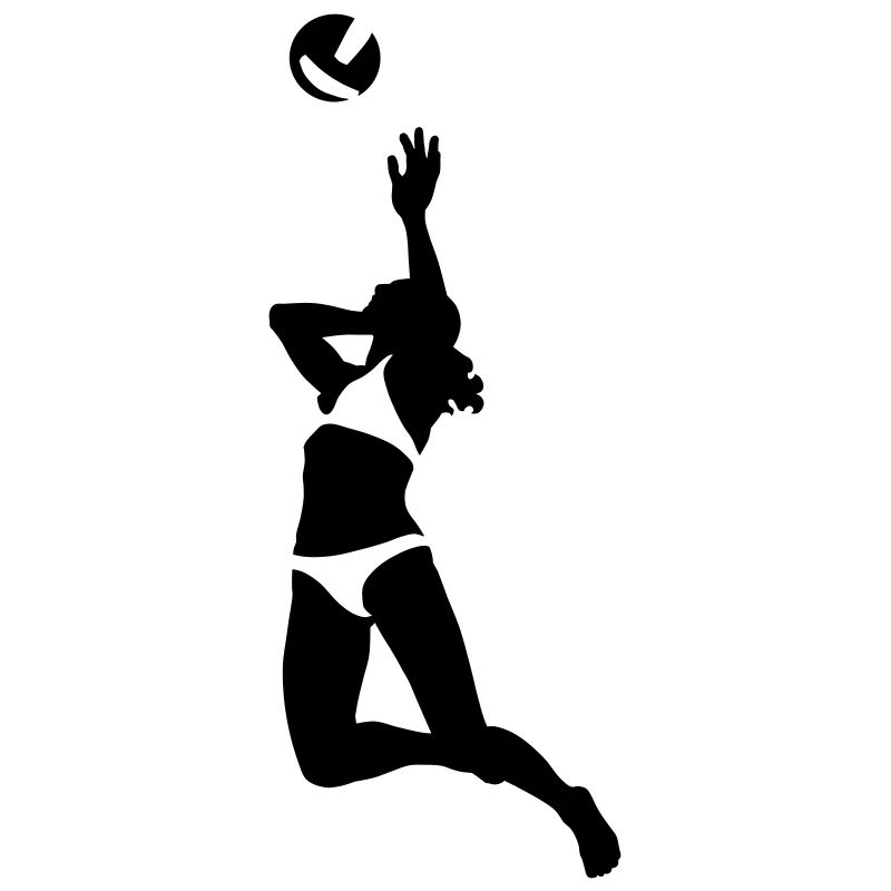 Volley-ball