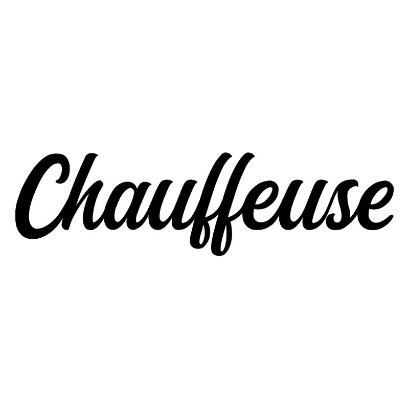 Chauffeuse Routière Professionnelle Conductrice Pr