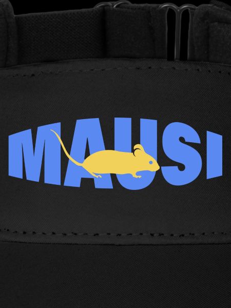 MAUSI
