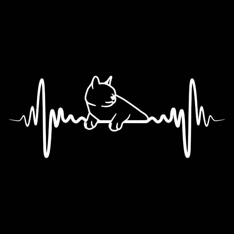 Battements de cœur de chat