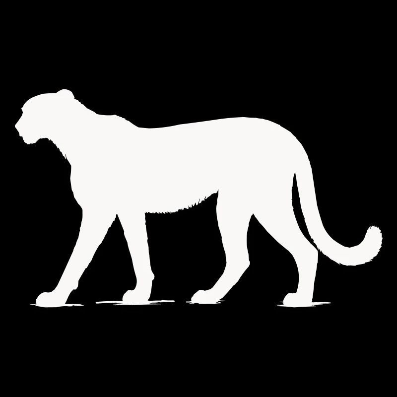 Cheetah animal