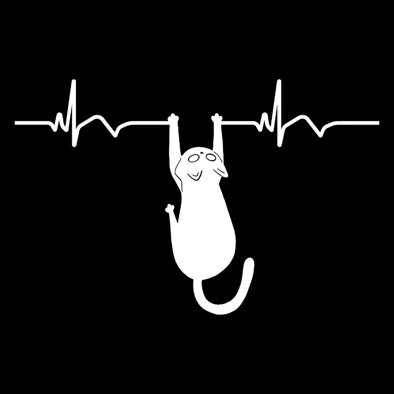 Katze EKG Herzfrequenz Herzschlag