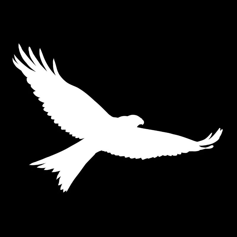 Greifvogel in weiss