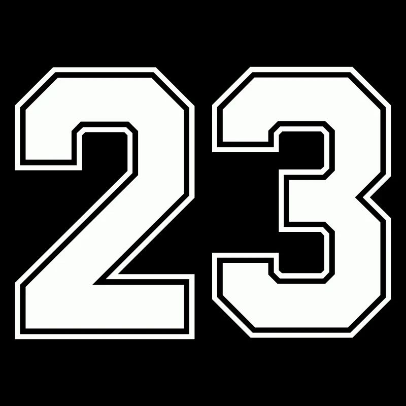 Geometric Number Design 23